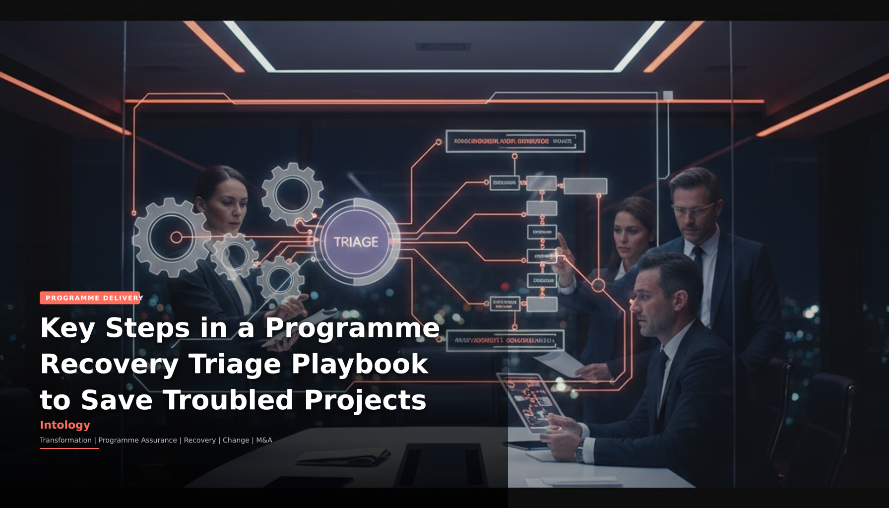 Programme Recovery Programme Recovery Triage Playbook Steps | Intology | Intology