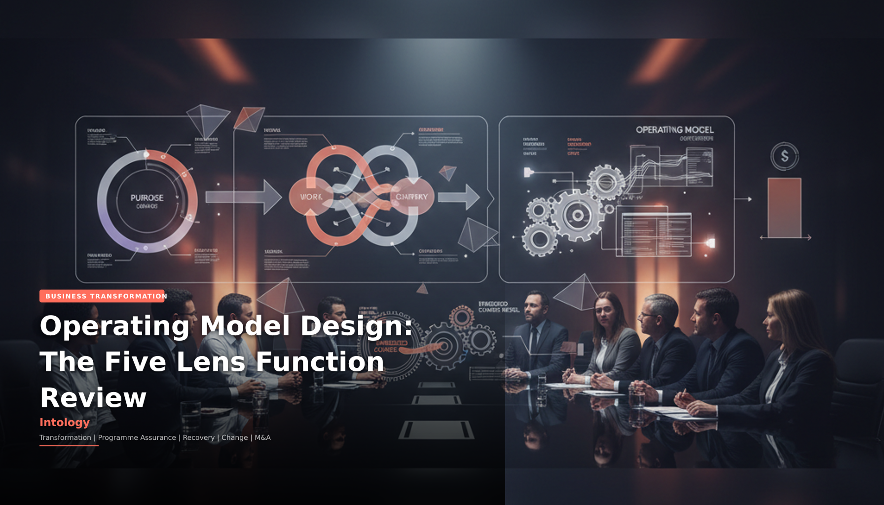 Operating Model Design: The Five Lens Function Review-Intology, independent UK consultancy